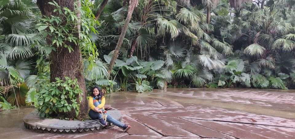 Photo of When I Travel Alone as A Married Woman... by Dipti Goyal