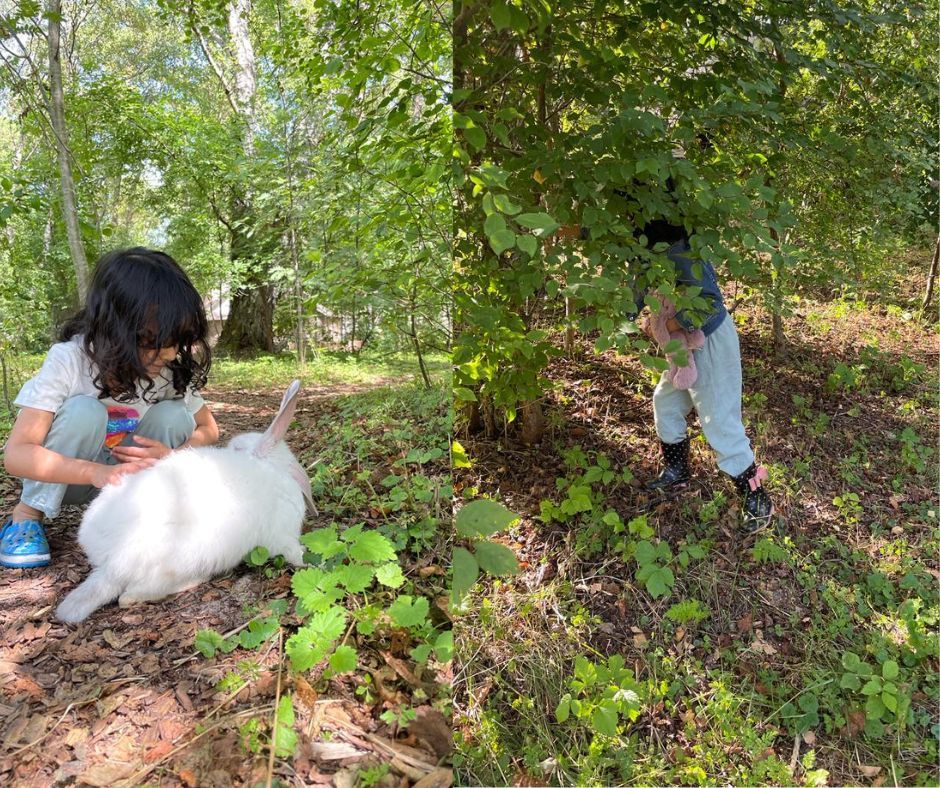 Photo of Polyana Glamping, Kaliningrad: Living in The Midst of a Forest by the Baltic Sea by Rashmi Sharma