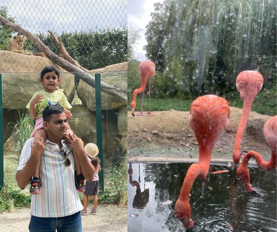 Photo of I Recently Took a Trip to Vienna with My Daughter and It Turned Out to Be One of the Best Trips Ever by Rashmi Sharma