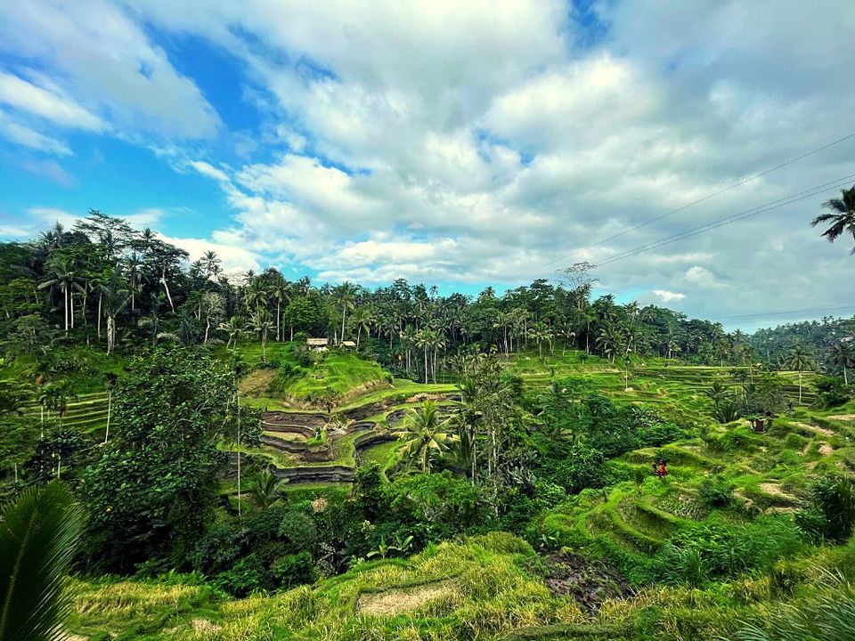 Photo of Ubud: The Most Realistic 3-Day Itinerary You’ll Ever Need by The Shy Secrets