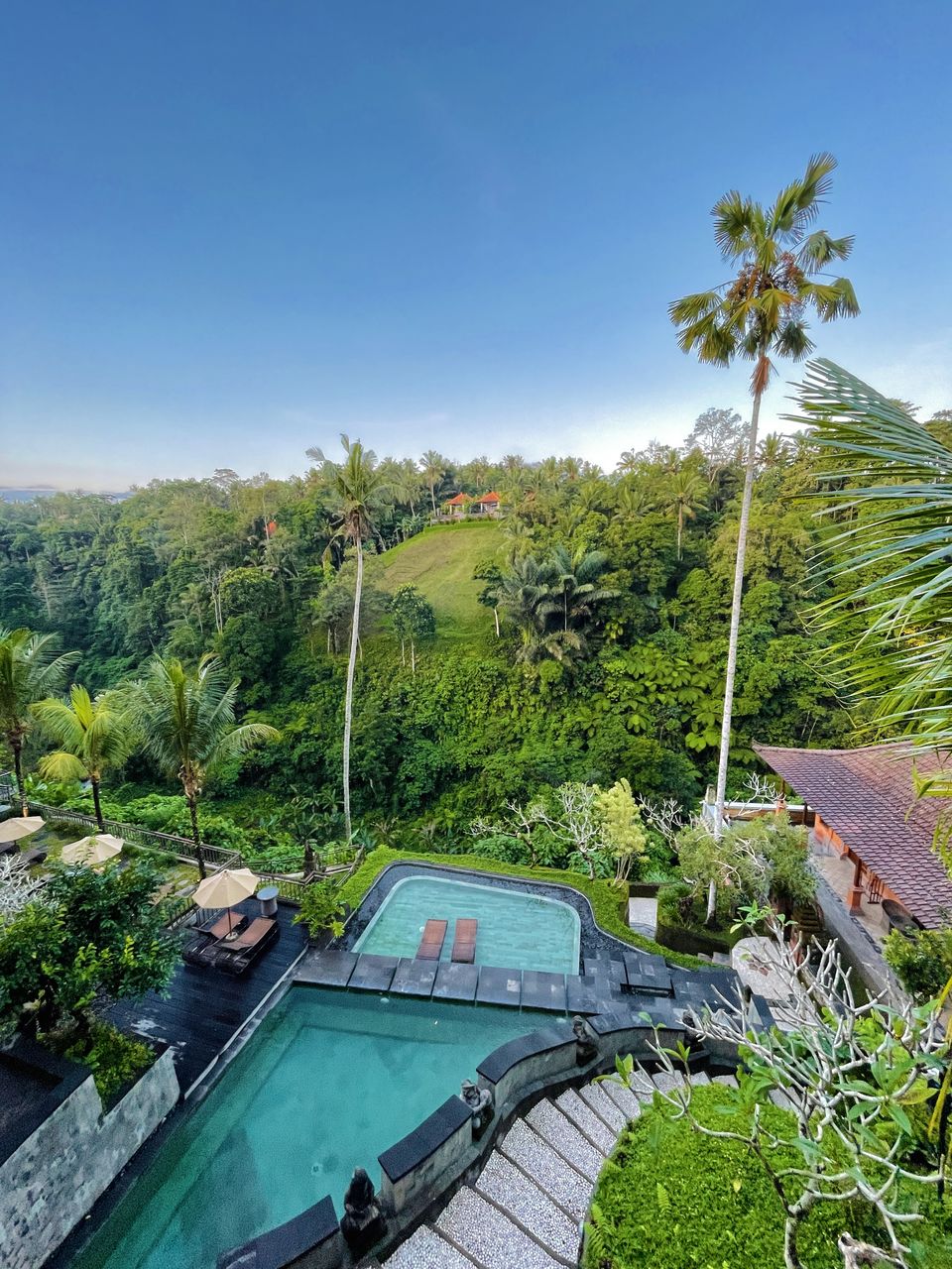 Photo of Ubud: The Most Realistic 3-Day Itinerary You’ll Ever Need by The Shy Secrets