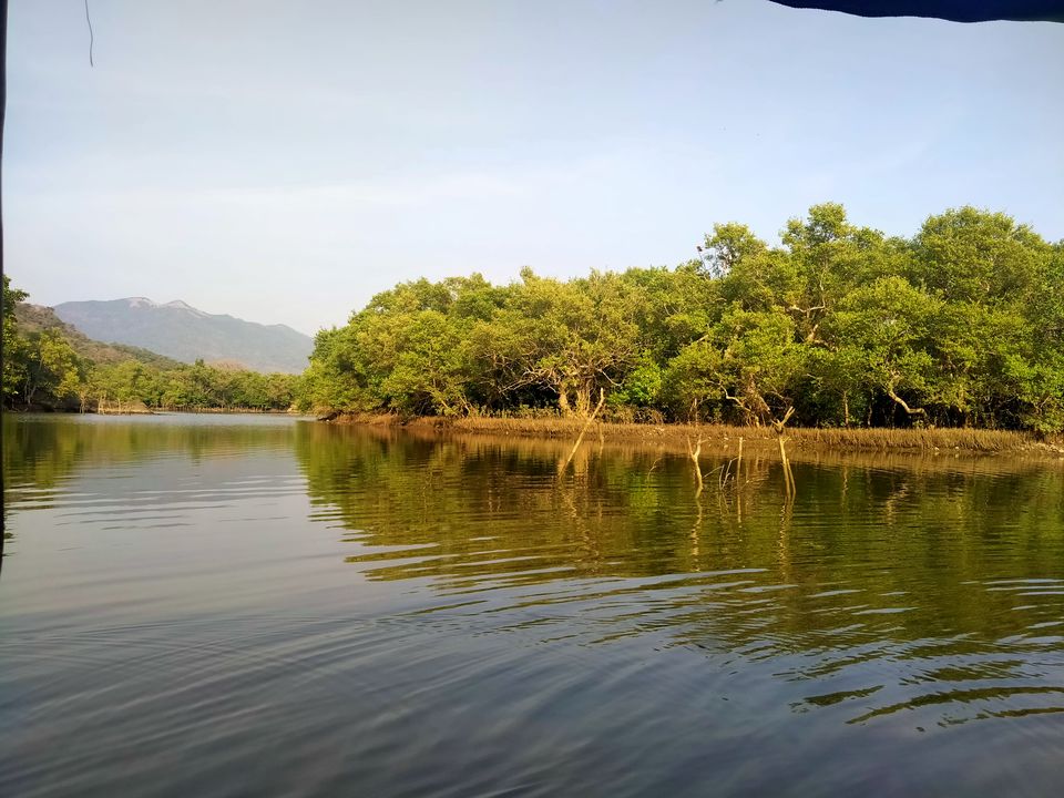 Photo of A customized (pocket-friendly) holiday in Goa with cycles, healthy eating, family and fun by Vartika Sharma Lekhak