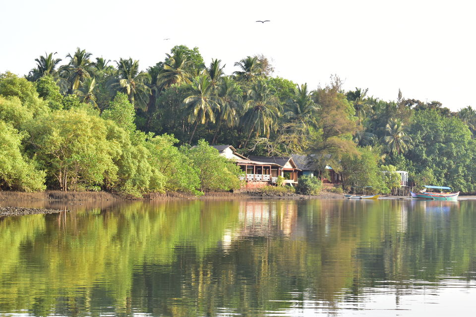 Photo of A customized (pocket-friendly) holiday in Goa with cycles, healthy eating, family and fun by Vartika Sharma Lekhak