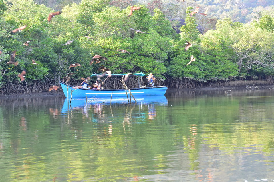 Photo of A customized (pocket-friendly) holiday in Goa with cycles, healthy eating, family and fun by Vartika Sharma Lekhak