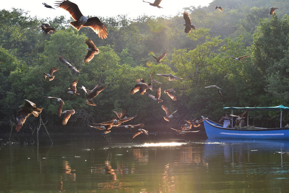 Photo of A customized (pocket-friendly) holiday in Goa with cycles, healthy eating, family and fun by Vartika Sharma Lekhak