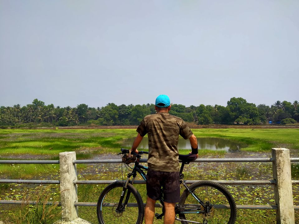Photo of A customized (pocket-friendly) holiday in Goa with cycles, healthy eating, family and fun by Vartika Sharma Lekhak