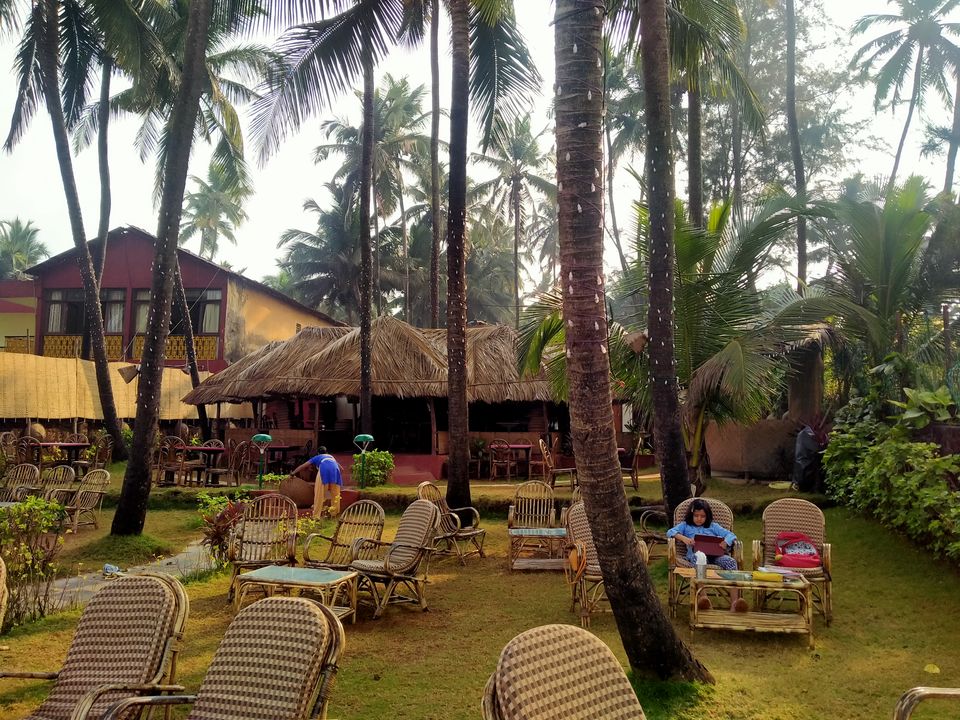 Photo of A customized (pocket-friendly) holiday in Goa with cycles, healthy eating, family and fun by Vartika Sharma Lekhak
