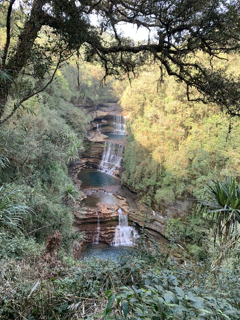 Photo of Drank Petrol to chase waterfalls of Meghalaya... by Swollen_Foot