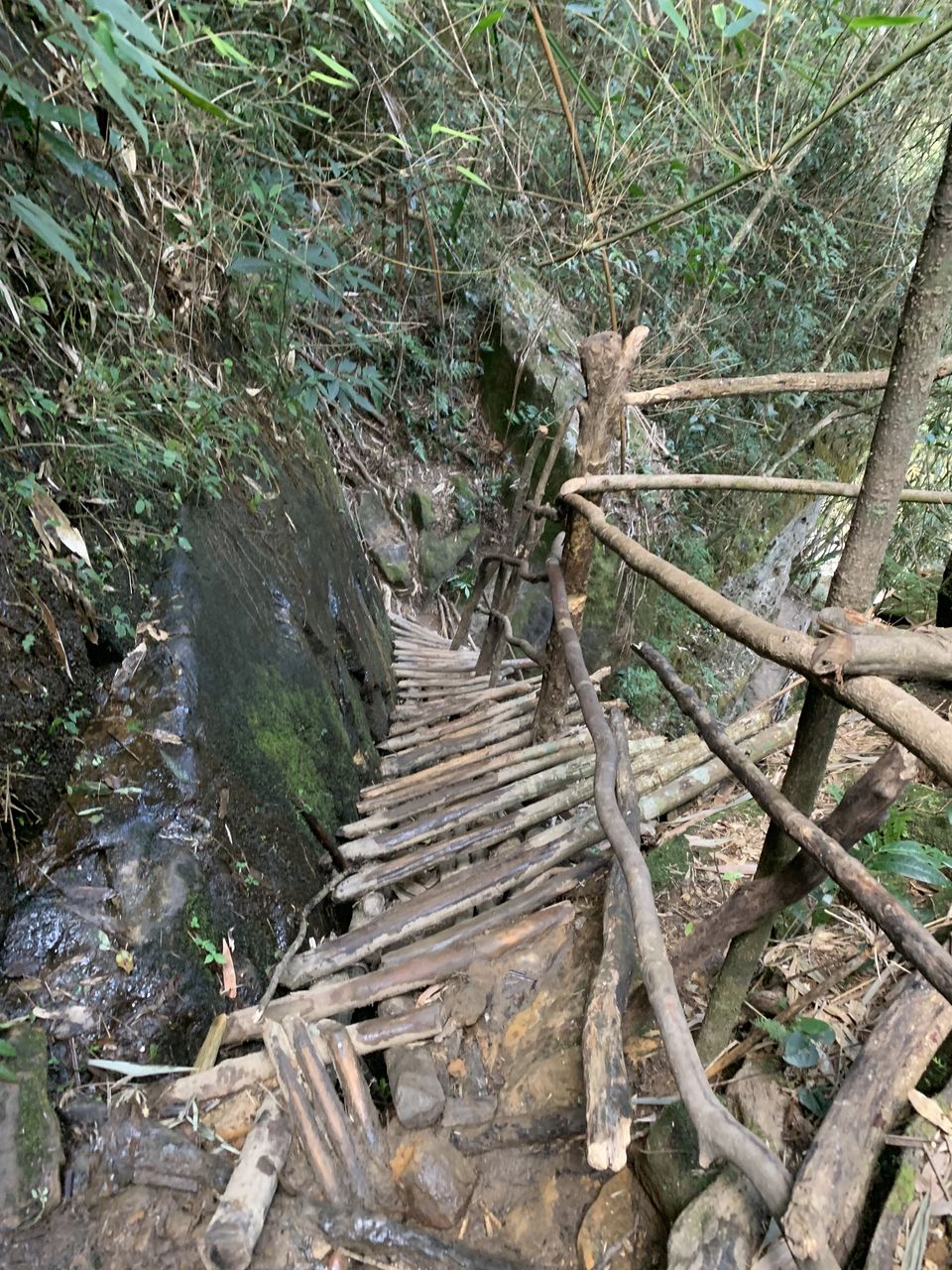 Photo of Drank Petrol to chase waterfalls of Meghalaya... by Swollen_Foot
