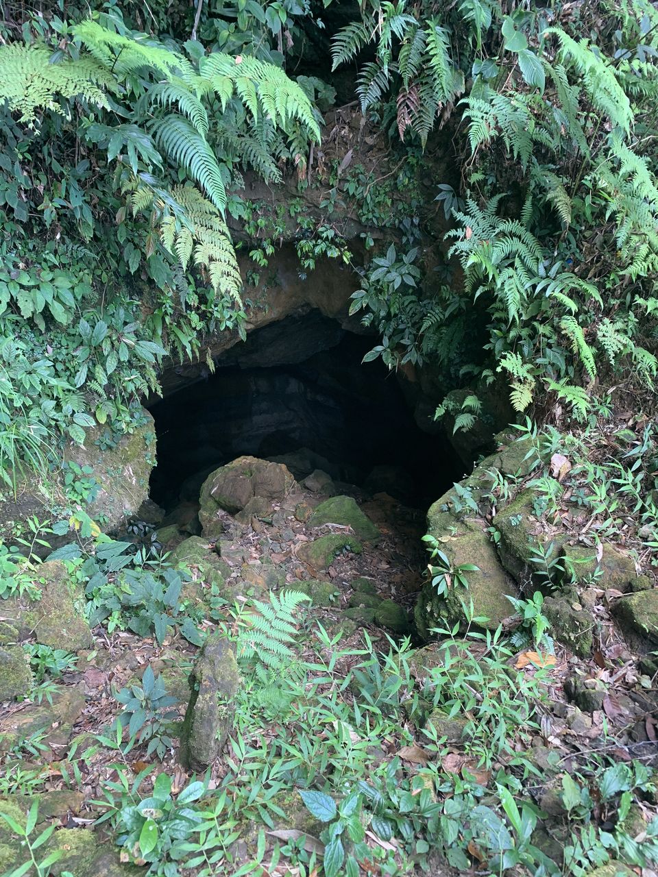 Photo of Drank Petrol to chase waterfalls of Meghalaya... by Swollen_Foot
