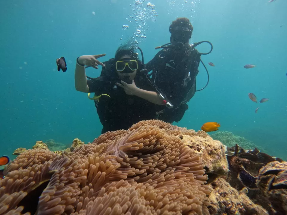 Photo of Exploring the Andamans as a Family: Activities, Tips & More by Sridevi M