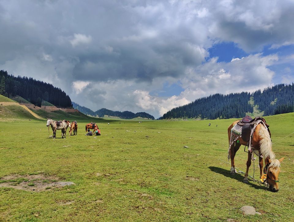 Photo of BANGUS VALLEY: A Beautiful Hidden Valley Of Kashmir by revoshots