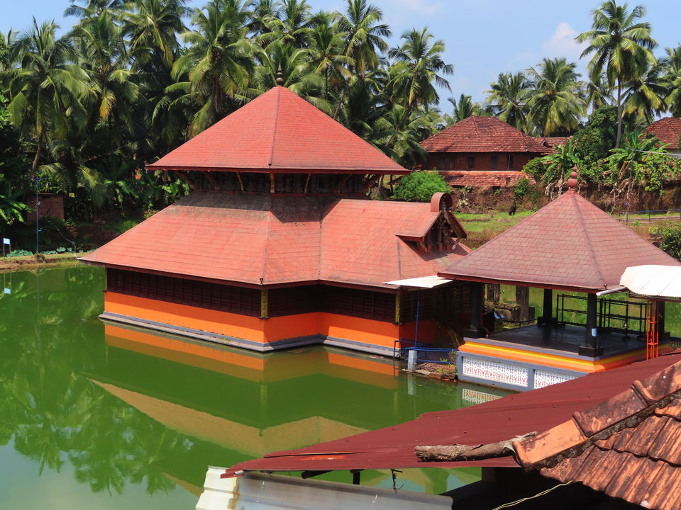 Photo of Sun , sand, and tan : a trip to Kannur, Nilshwar , and Bekal by Tanushree Das