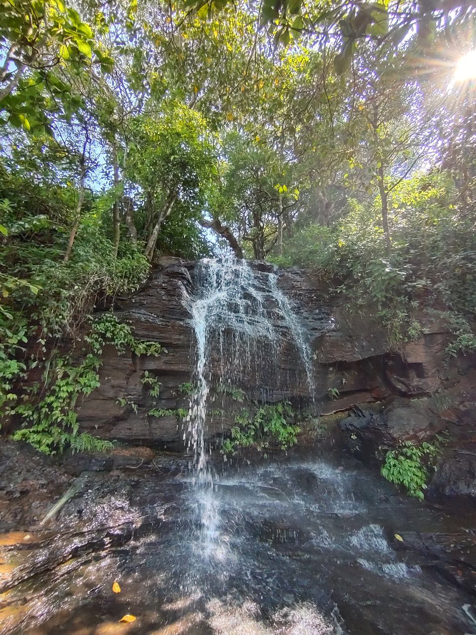 Photo of Chikkamagaluru - Exotic destination of Karnataka by Nithin S P