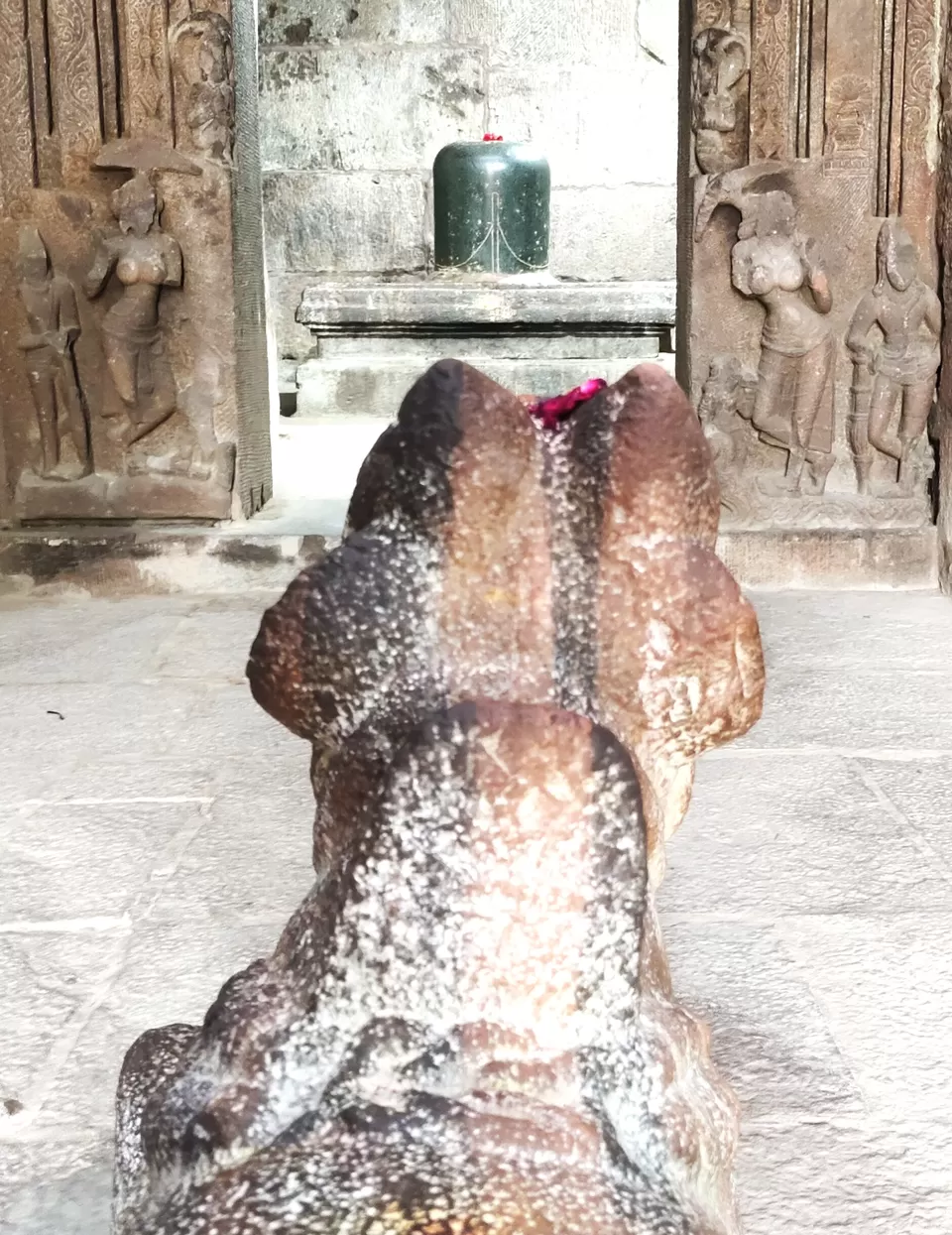 Photo of Mantralayam Temple Run—Finding Peace Amidst the Chaos by Nithin S P 