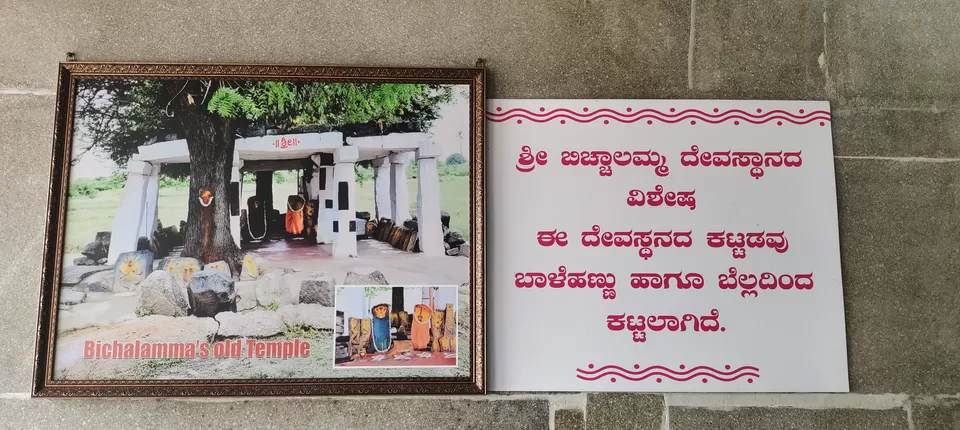 Photo of Mantralayam Temple Run—Finding Peace Amidst the Chaos by Nithin S P 