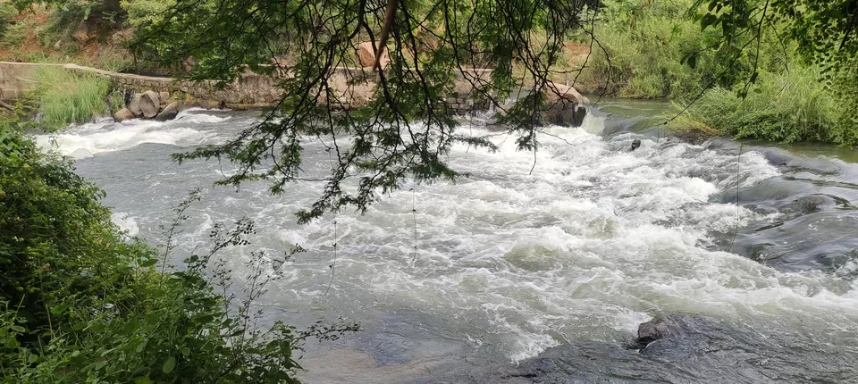 Photo of Mantralayam Temple Run—Finding Peace Amidst the Chaos by Nithin S P 