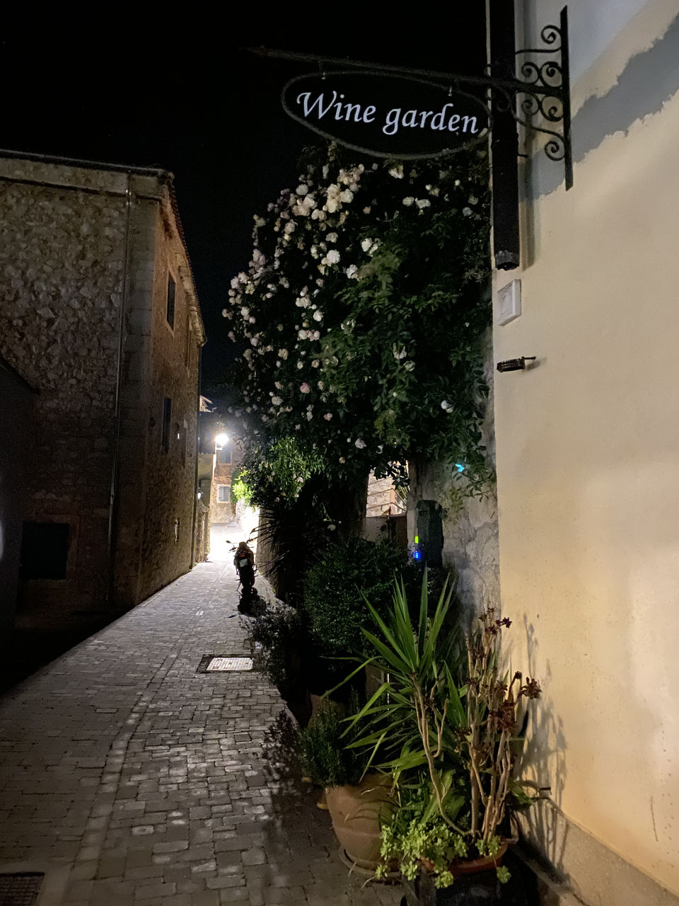 Photo of WINE GARDEN, Skradin by Abhishek Dey