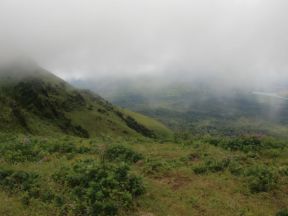 Photo of Mullayanagiri Peak, Chikkamagaluru by KatchuTravels