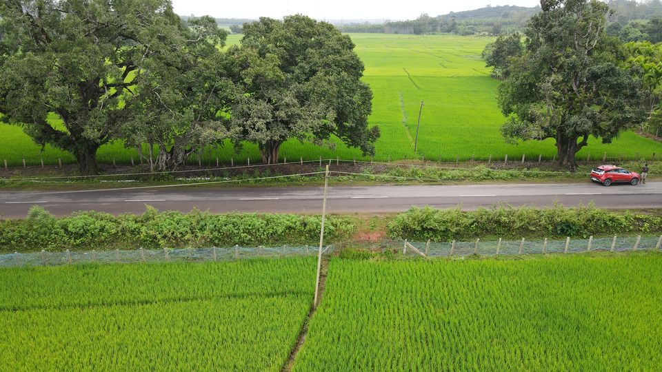 Photo of Sagara, Shimoga by KatchuTravels