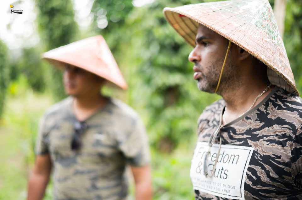 Photo of Visiting a Pepper Farm in Phu Quoc- 60 Hours in Vietnam-EP3 by KatchuTravels