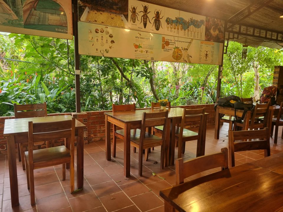 Photo of Visiting a Pepper Farm in Phu Quoc- 60 Hours in Vietnam-EP3 by KatchuTravels
