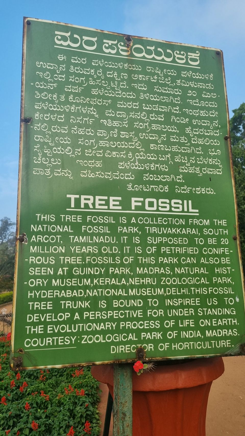 Photo of Lalbagh Botanical Garden, Bengaluru by KatchuTravels