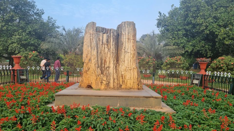 Photo of All You Need to Know about Bangalore's Iconic Flower Festival at Lalbagh Botanical Garden by KatchuTravels