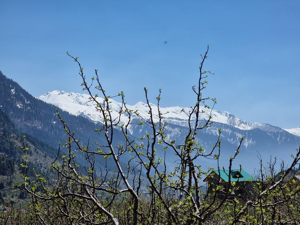 Photo of Chalet Windflower, Manali by Sakshi Nahar Dhariwal
