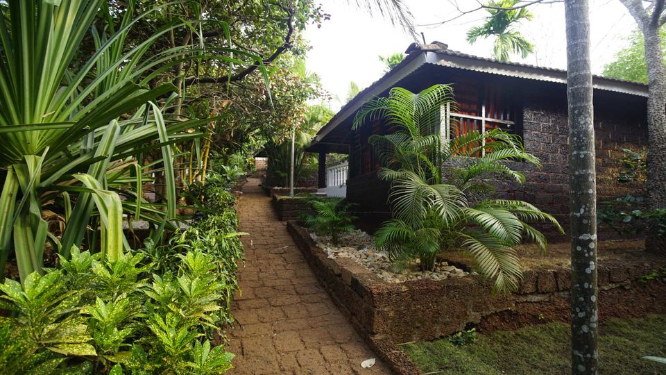 Photo of Namaste Yoga Farm - India, Gokarna by Sakshi Nahar Dhariwal