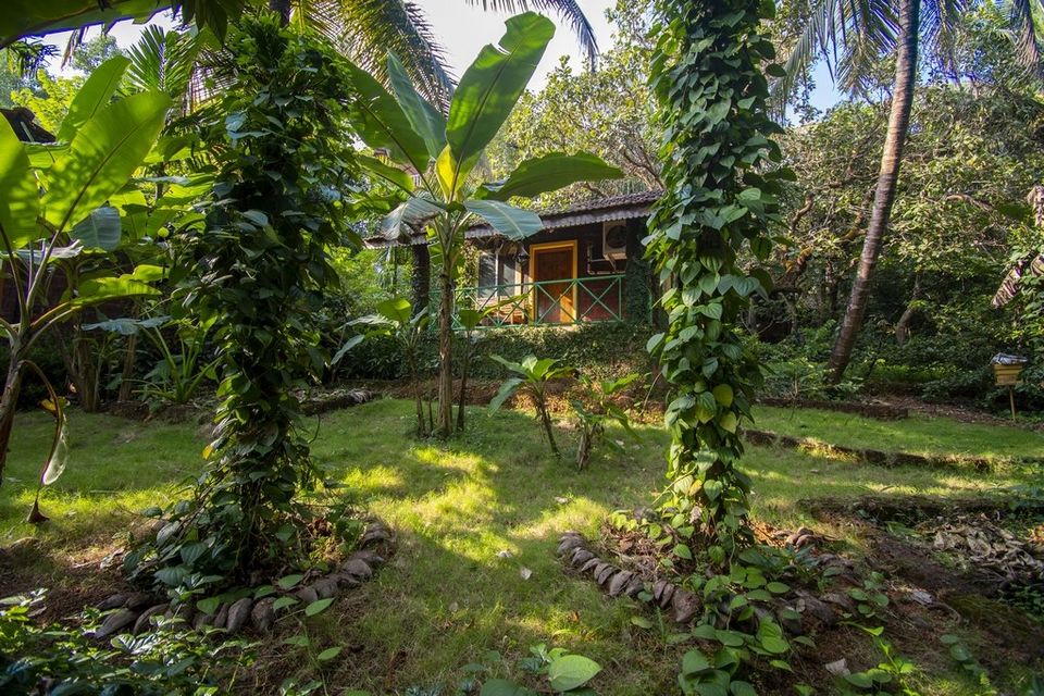 Photo of Namaste Sanjeevini, Gokarna by Sakshi Nahar Dhariwal