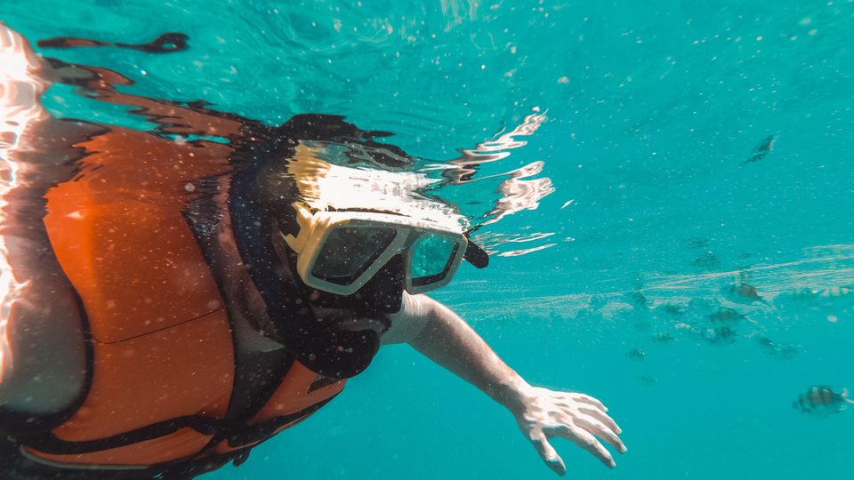 Photo of Here's Everything You Need To Know About Phi Phi Islands by Sakshi Nahar Dhariwal