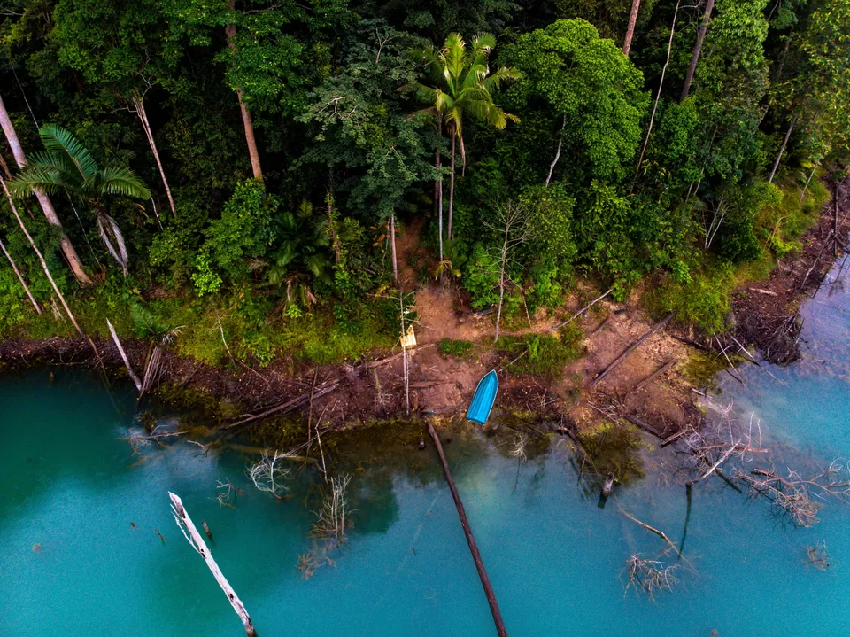 Photo of Tasik Biru Bukit Ibam, Muadzam Shah by Sakshi Nahar Dhariwal