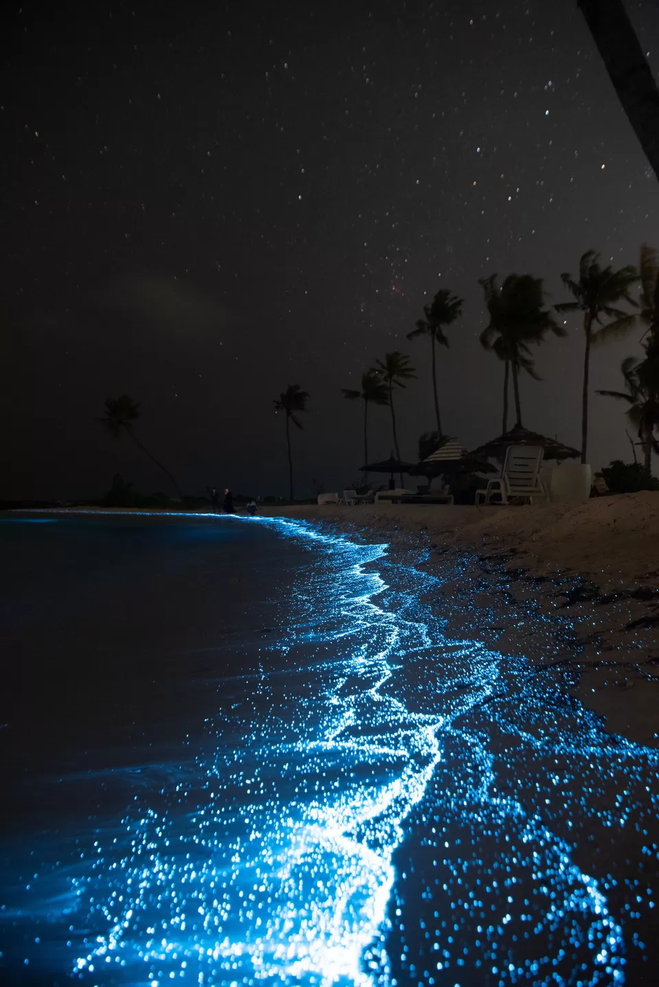 Photo of Pulau Sembilan, Perak by Sakshi Nahar Dhariwal