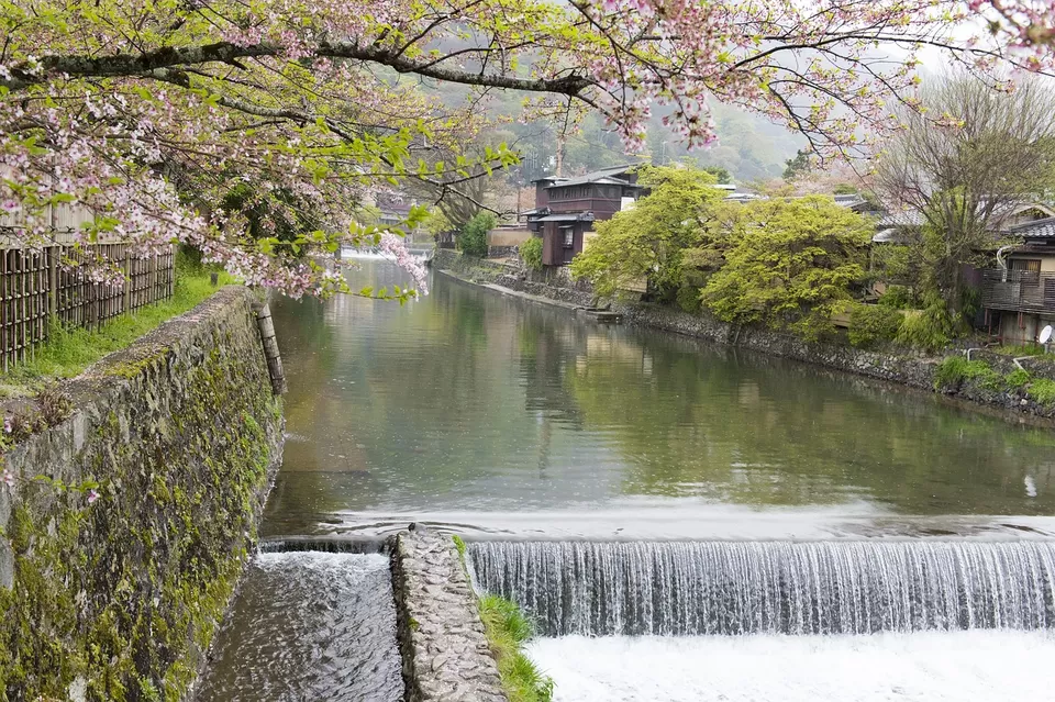 Photo of Kyoto, Japan by Sakshi Nahar Dhariwal