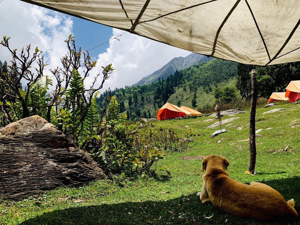 Photo of A tale of finding my love through chai, toast, travel and WCMT! by Jimish Parekh