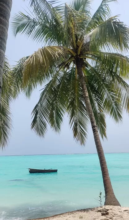 Photo of Top 5 Key Factors to Keep in Mind When Planning Your Lakshadweep Trip by Bhavna Vaja