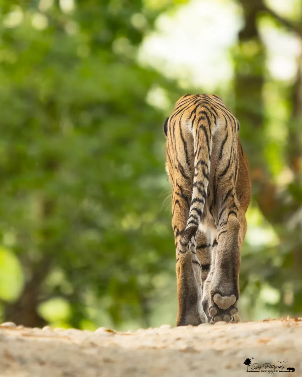 Photo of Visit the land of myriad landscapes and wildlife by Sujay Jamkhandi