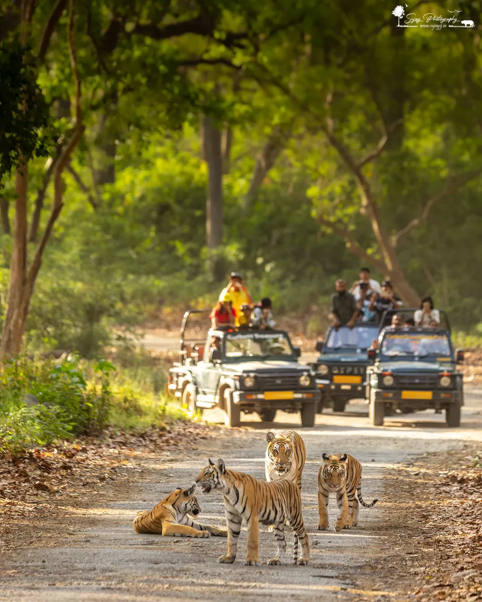 Photo of Visit the land of myriad landscapes and wildlife by Sujay Jamkhandi