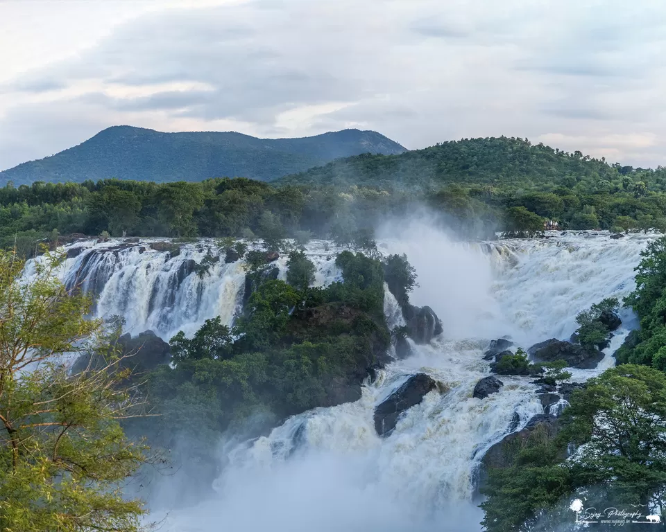 Photo of A monsoon delight by Sujay Jamkhandi