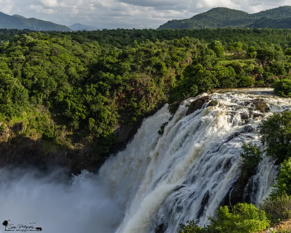 Photo of A monsoon delight by Sujay Jamkhandi