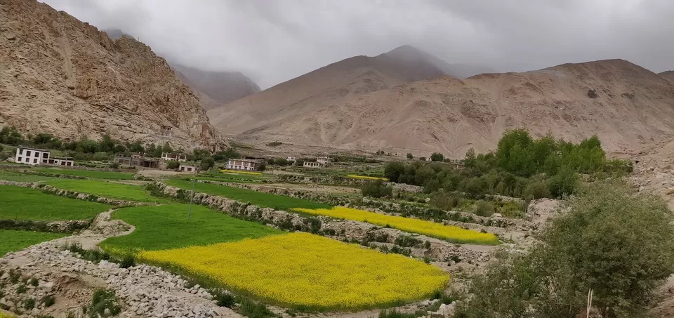Photo of Ladakh by Shivani Priyadarshini