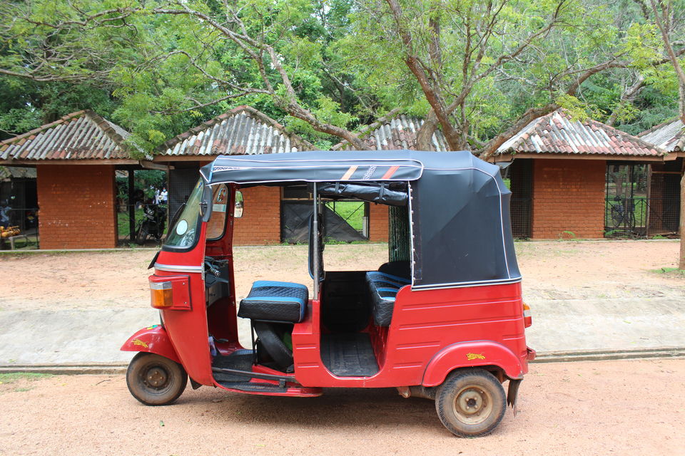 Photo of 30K, 7 Days & 1 Travel Experience of a Lifetime: Here's the Only Sri Lanka Itinerary You Need! by Riyanka Roy