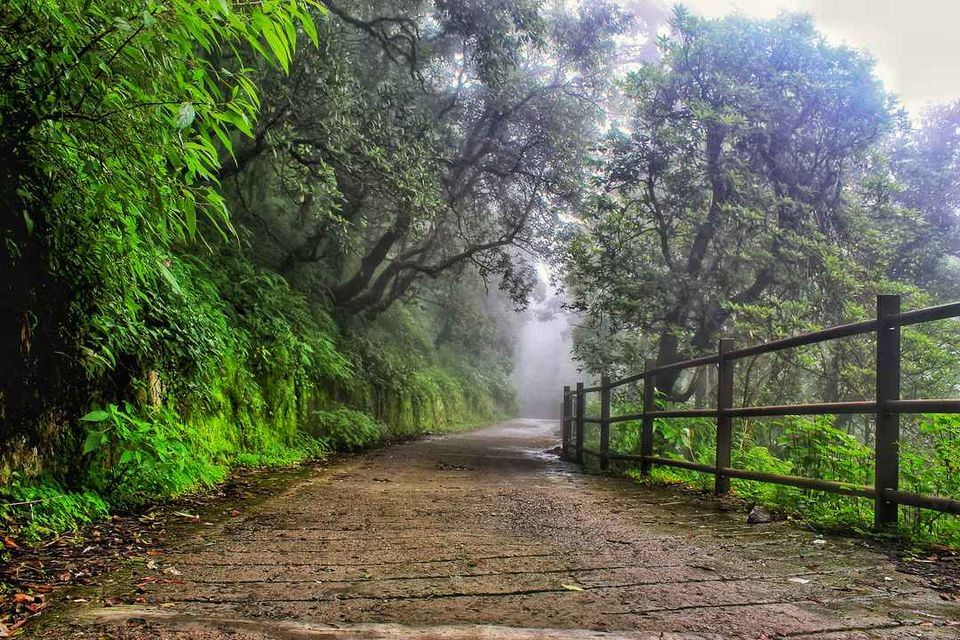 Photo of 10 Places Under 10 Hours from Delhi You Can Visit For This Holi Weekend by Riyanka Roy