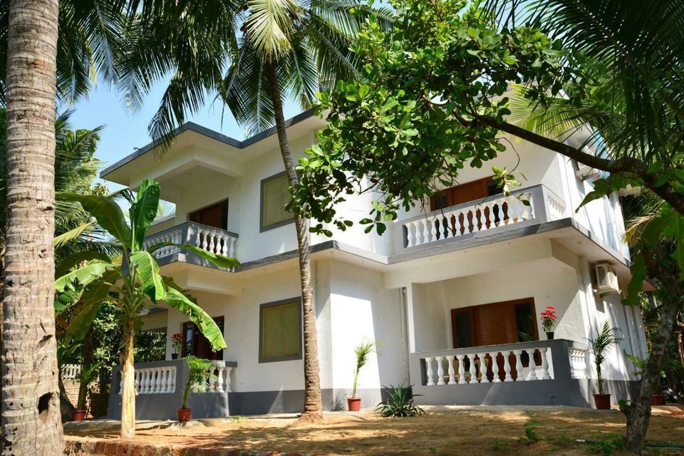 Photo of Palm Shades Spring, Benaulim by Kadambari Bhatte (curlytravelmess)