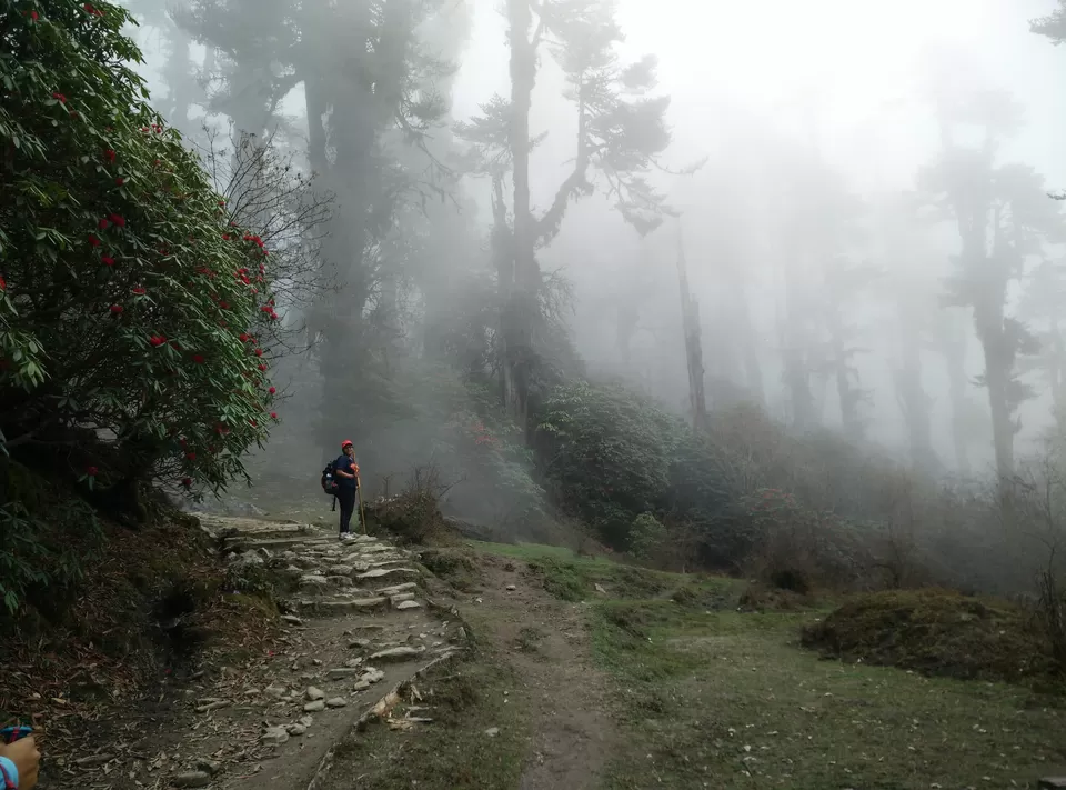 Photo of Kanchendzonga national park, Gangtok by Riyanka Roy