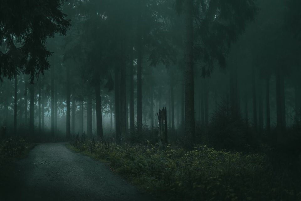 Photo of Unimaginably Spooky Experiences Encountered By Travellers During Road Trips Across India by Riyanka Roy