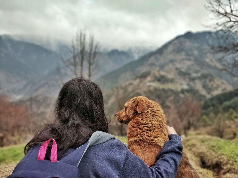Photo of Himachal Pradesh, India by Riyanka Roy