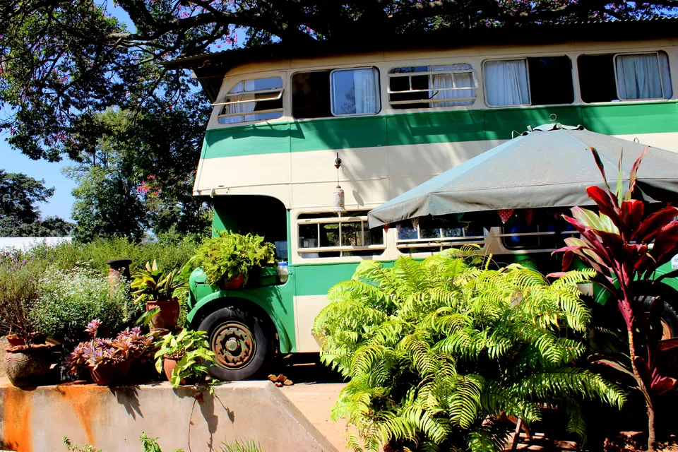 Photo of My 'Into the Wild' Dreams Turned to Reality in The Brandy Bus, Nairobi by Riyanka Roy