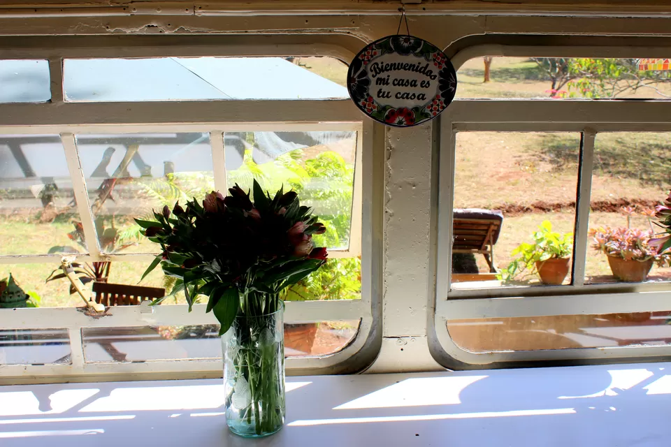 Photo of My 'Into the Wild' Dreams Turned to Reality in The Brandy Bus, Nairobi by Riyanka Roy